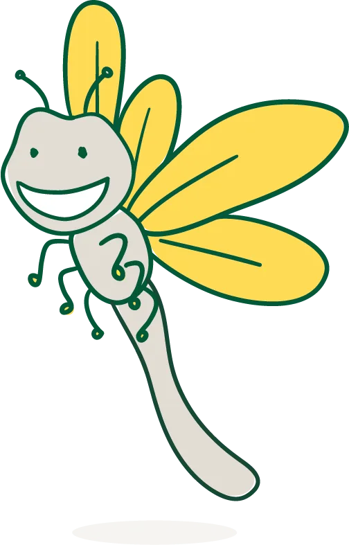 dragonfly illustration