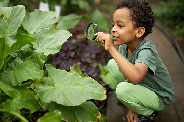 small boy looking at plants